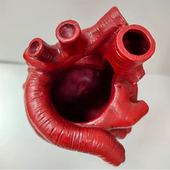 New gothic red anatomical heart vase - Picture 6 of 8